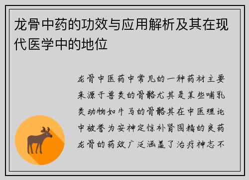 龙骨中药的功效与应用解析及其在现代医学中的地位