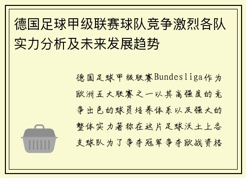 德国足球甲级联赛球队竞争激烈各队实力分析及未来发展趋势